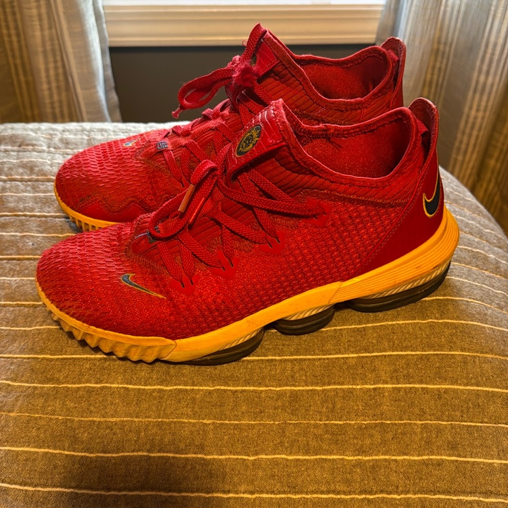 Nike Lebron basketball shoes